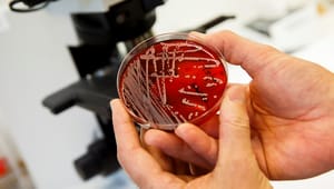 EU trapper opp kampen mot antibiotikaresistens