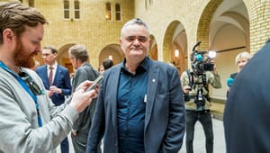 Fornybar Norge henter ny myndighetskontakt