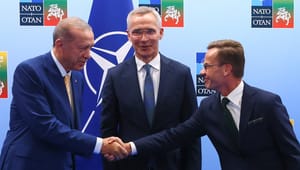 Tyrkia gir grønt lys for svensk Nato-medlemskap – dette er avtalen