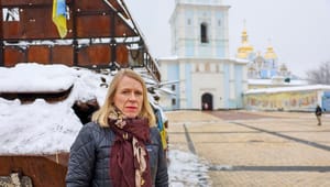 Norge bidrar i seks av ti arbeidsgrupper i Ukrainas fredsplan: – Vi er i lyttemodus