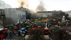 Rasende bønder rammet toppmøtet i Brussel: – EUs grønne giv dreper oss