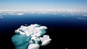 WWF varsler havbunnssøksmål mot staten
