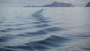 Næringer enige: Havet fortjener en plan – tar Stortinget ansvar?