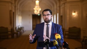 Sverigedemokraterna om ny avsløring: «Gigantisk påvirkningsoperasjon»