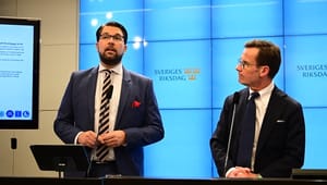 Sverigedemokraterna bekymrer Brussel